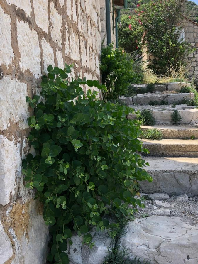 Villa Iva Lastovo Uble Eksteriør bilde